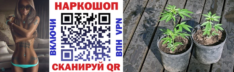 Купить COCAIN  A-PVP  ГАШИШ  Галлюциногенные грибы  Мефедрон  Дигора