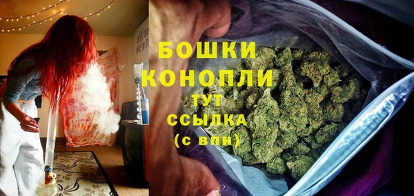 крисы Иннополис