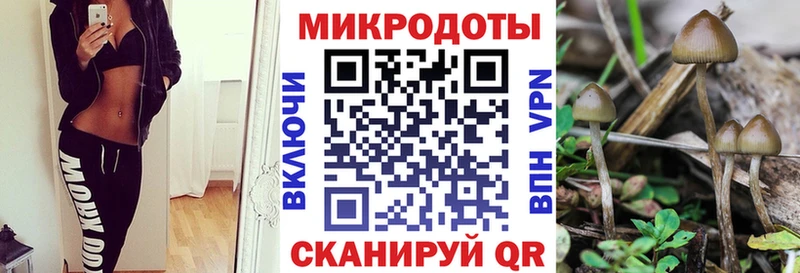 Галлюциногенные грибы MAGIC MUSHROOMS  Купить закладки  Дигора 